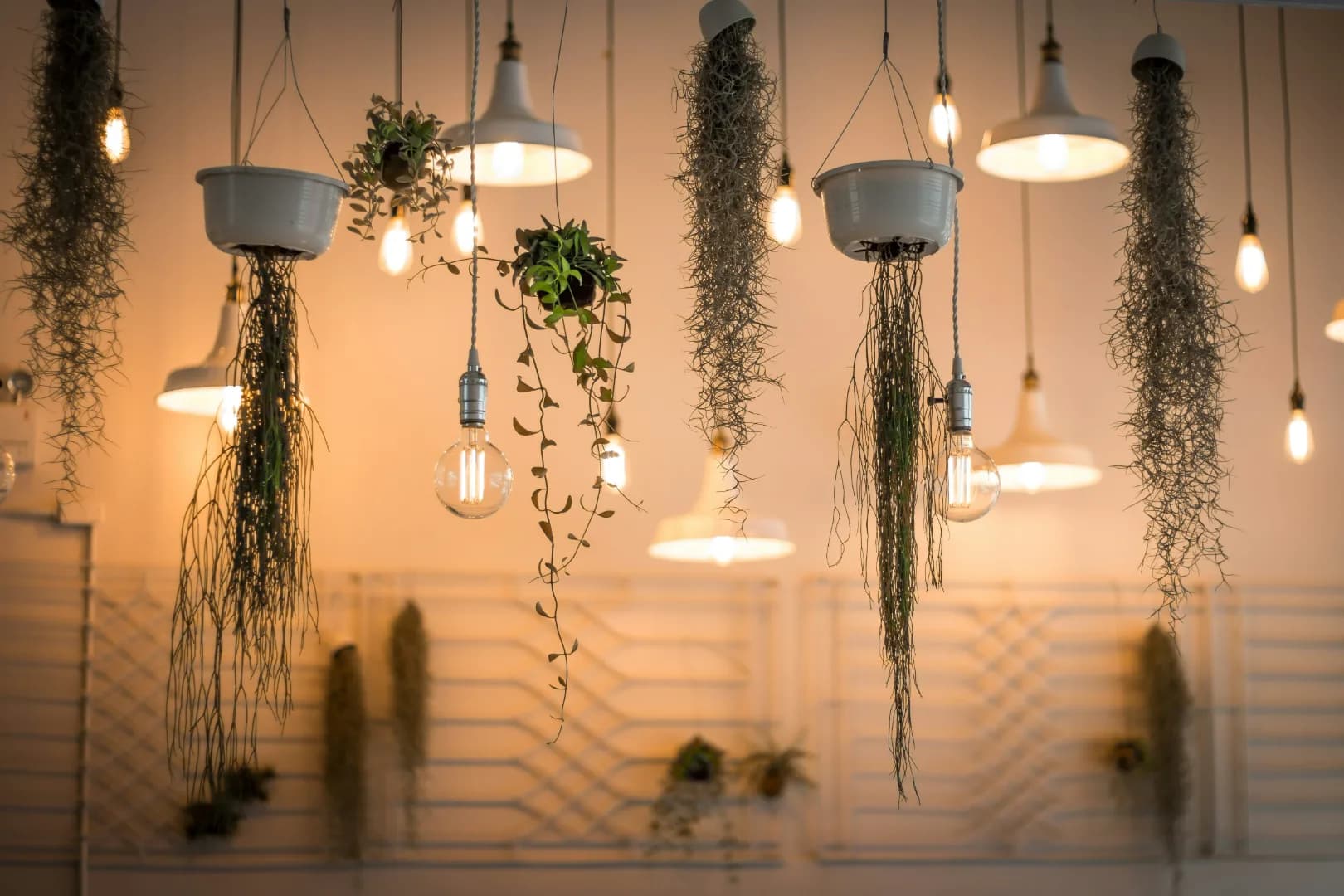 Decorative lighting and pendant lamp